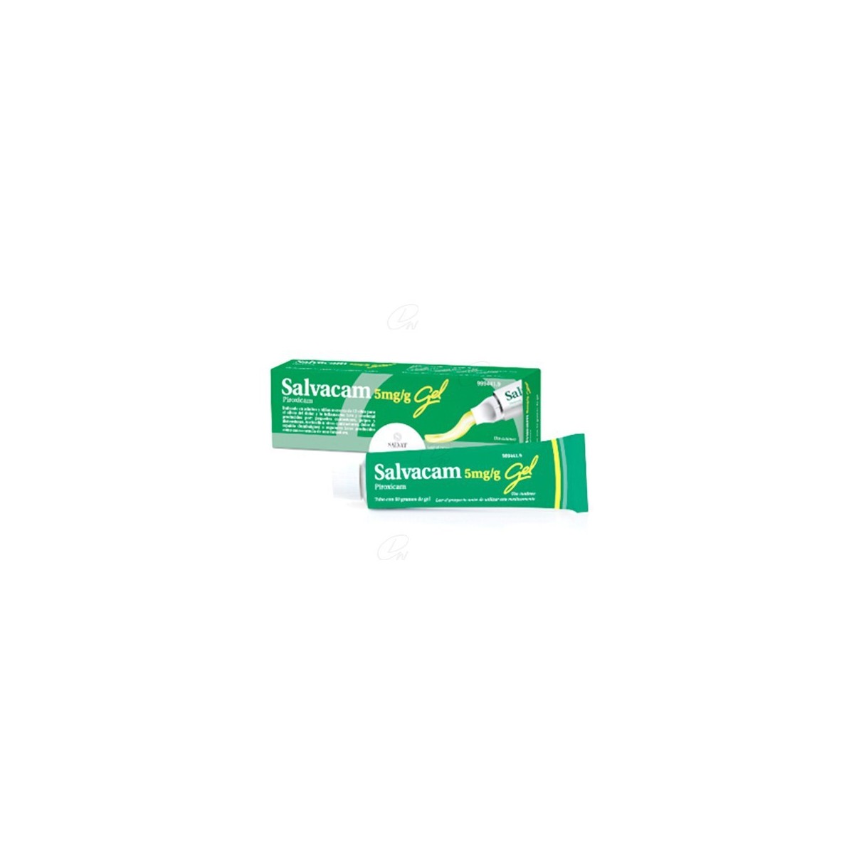 SALVACAM 5mg/g  GEL, 1 tubo de 60 g